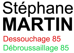 Logo-D&D85 D & D 85<br />